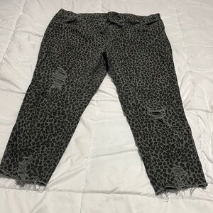 YMI Brand Stylish Leopard Print Women's Jeans